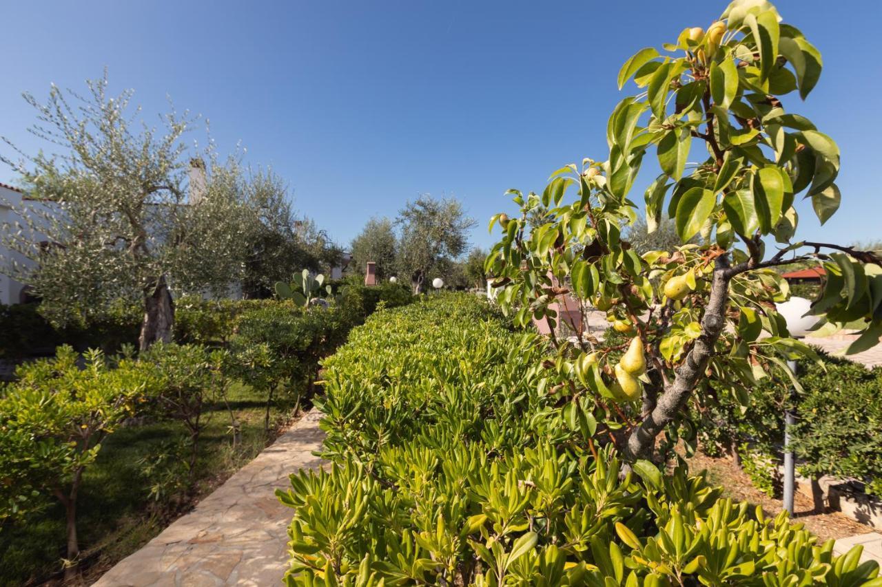Residence Villantica Vieste Exterior photo